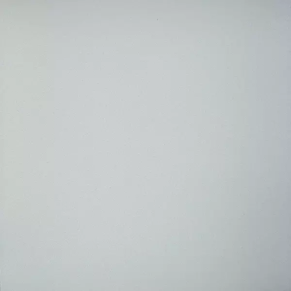 Напольная плитка «Грани Таганая» Профи Matt. 60x60 GT009M светло-серый