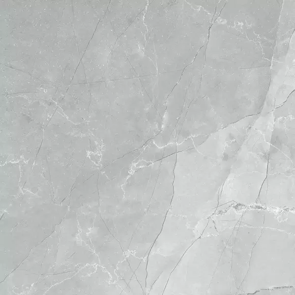 

Напольная плитка «LCM» Armani Marble 60x60 6060AMB15P gray