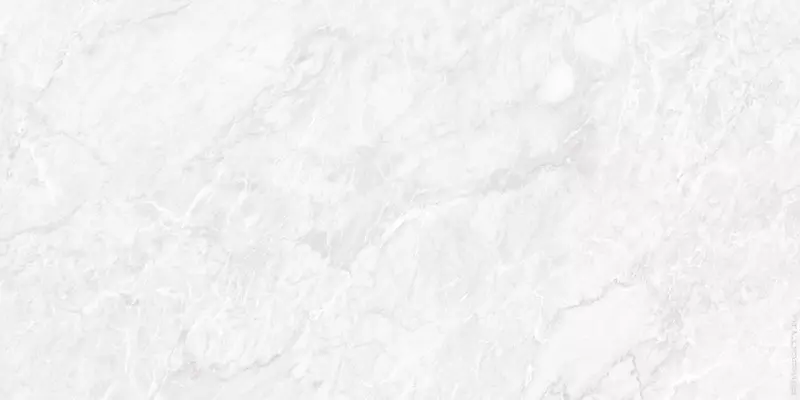 

Напольная плитка «Neodom» Belvedere Carrara Polish. 120x60 N20481 pearl