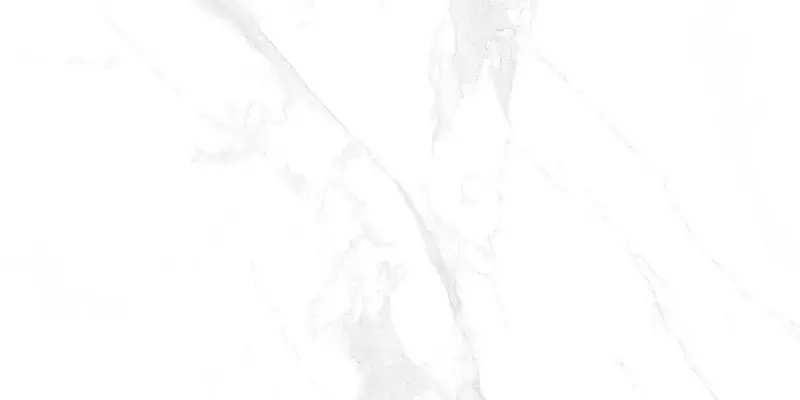 Напольная плитка «LV Granito» bony Statuario Glossy 120x60 СК000042068 white