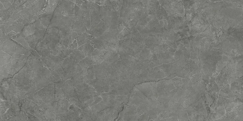 

Напольная плитка «Laparet» Pluto Matt. 119,1x59,5 SG50005320R grigio