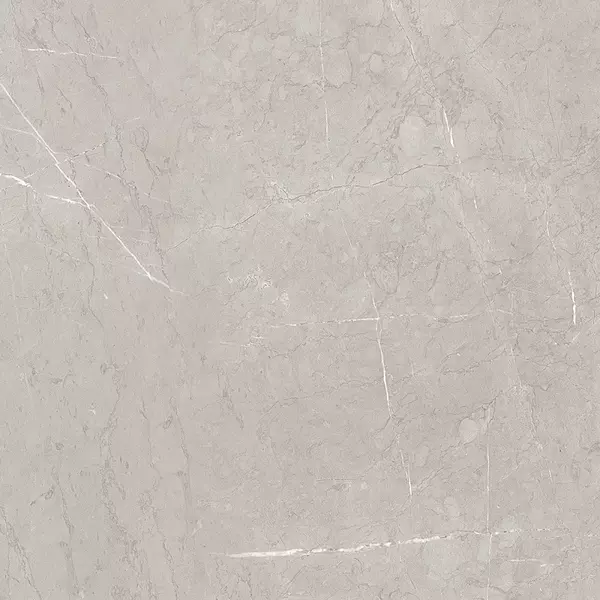 

Напольная плитка «Azori» Ebri Matt. 60x60 СК000042297 gris