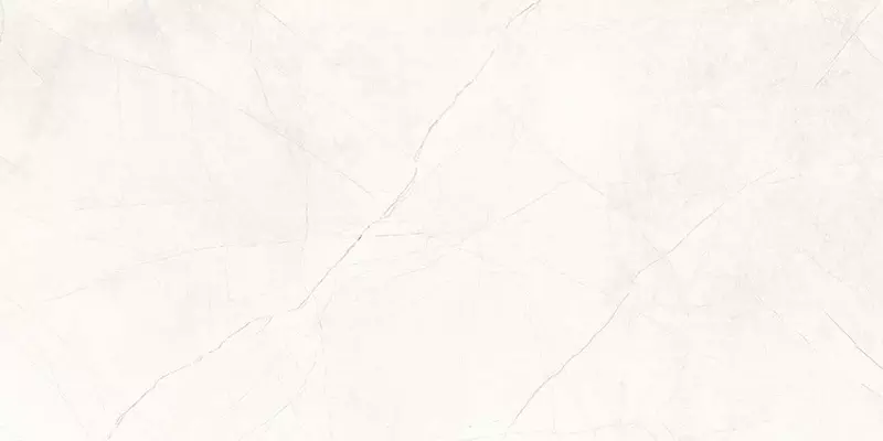 Напольная «Ceradim» плитка «Ceradim» Stone Micado Polish. 120x60 х9999301496 blanco · Ceradim, х9999301496