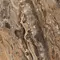 Напольная плитка «Primavera» Richter High Glossy 60x60 GR104 brown, фото №5