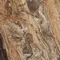 Напольная плитка «Primavera» Richter High Glossy 60x60 GR104 brown, картинка №10
