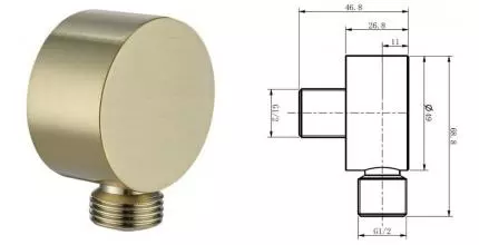 Подключение для душевого шланга «Caprigo» Parts 99-590-BRG матовое золото