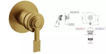 Смеситель для душа «Remer» Atelier AL30LBG брашированное золото